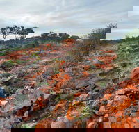 Western Ridge Walk - St Kilda Accommodation