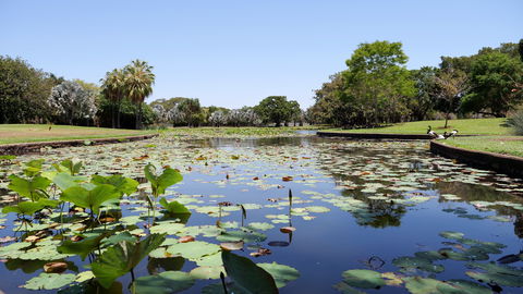 Anderson Park Botanic Gardens - St Kilda Accommodation 0