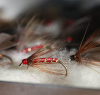 Australian Fly Fishing Museum - St Kilda Accommodation