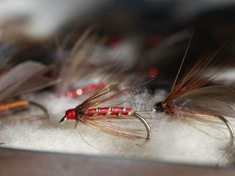 Australian Fly Fishing Museum - St Kilda Accommodation 0