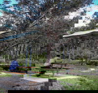 Barrington Tops State Forest - St Kilda Accommodation