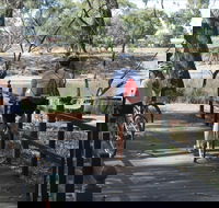 Bidgee Riverside Trail  - Hay Nature Walk - St Kilda Accommodation