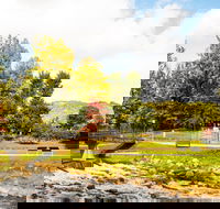 Bright - St Kilda Accommodation