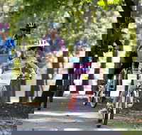 Bright to Wandiligong 5.5km - St Kilda Accommodation