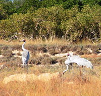 Cape Keraudren Nature Reserve