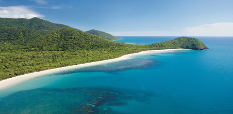 Cape Tribulation, Daintree National Park - St Kilda Accommodation 0