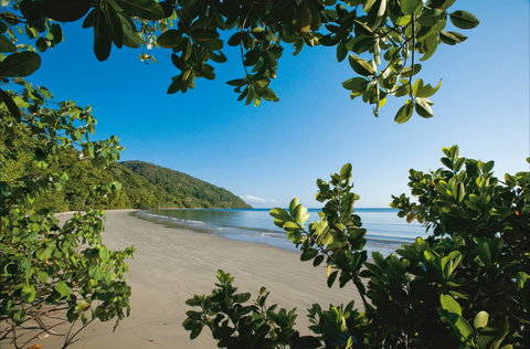 Cape Tribulation, Daintree National Park - St Kilda Accommodation 1