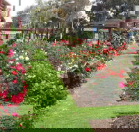 Cowra Rose Garden - St Kilda Accommodation