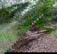 Double Wharf Trail - St Kilda Accommodation