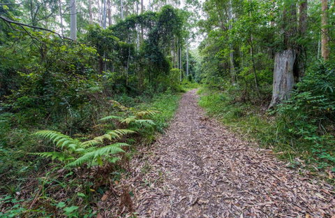 Double Wharf Trail - St Kilda Accommodation 0