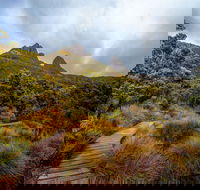 Dove Lake - St Kilda Accommodation