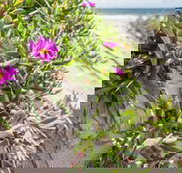 Fort Bribie - St Kilda Accommodation
