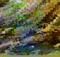 Glimpse of the Outback 5 Day Tour - Roma and Surrounds - St Kilda Accommodation