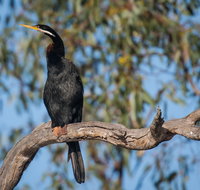 Greenough River Nature Trail - St Kilda Accommodation