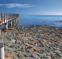 Hamelin Pool Stromatolites - St Kilda Accommodation