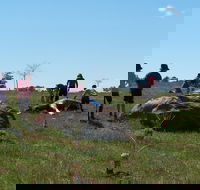 Jim Salmon  Wetland Education Site - St Kilda Accommodation