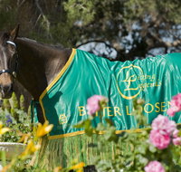 Living Legends The International Home of Rest for Champion Horses - St Kilda Accommodation