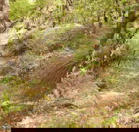 Mount Carnarvon Walking Track - St Kilda Accommodation