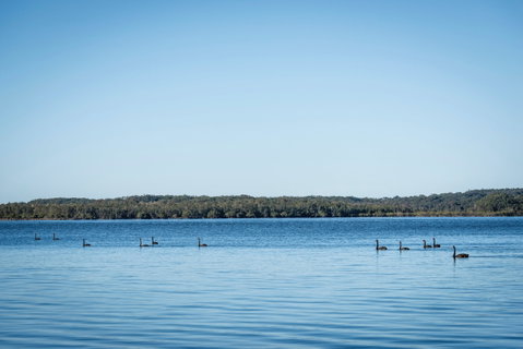 Queens Lake Picnic Area - St Kilda Accommodation 1