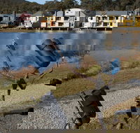 Sculpture Trail at Lake Crackenback Resort and Spa - St Kilda Accommodation