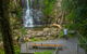 The Falls Walk, Budderoo National Park - thumb 0