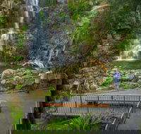 The Falls Walk Budderoo National Park - St Kilda Accommodation