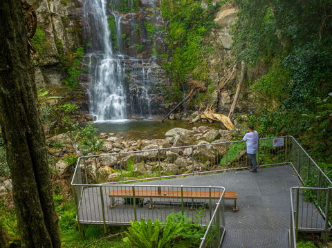 The Falls Walk, Budderoo National Park - St Kilda Accommodation 0