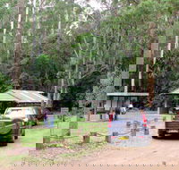 Wallingat Forest Drive - St Kilda Accommodation