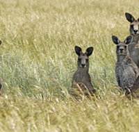 Woodlands Historic Park - St Kilda Accommodation