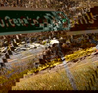 7 Peaks Ride - Falls Creek - St Kilda Accommodation