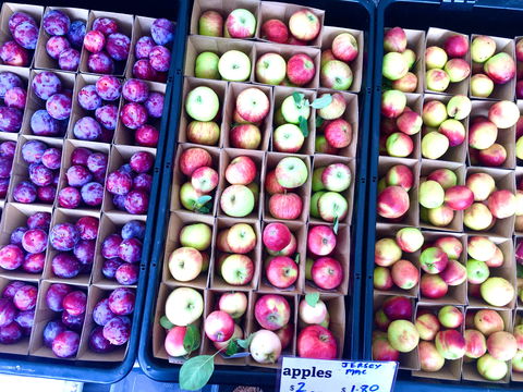 Adelaide Showground Farmers' Market - St Kilda Accommodation 0