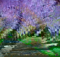 Alowyn Gardens and Nursery - St Kilda Accommodation