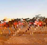 Broken Hill Camels - St Kilda Accommodation