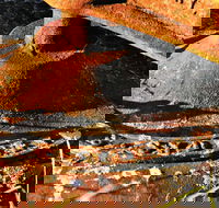 Cattai Homestead and Historic Farm Buildings - St Kilda Accommodation