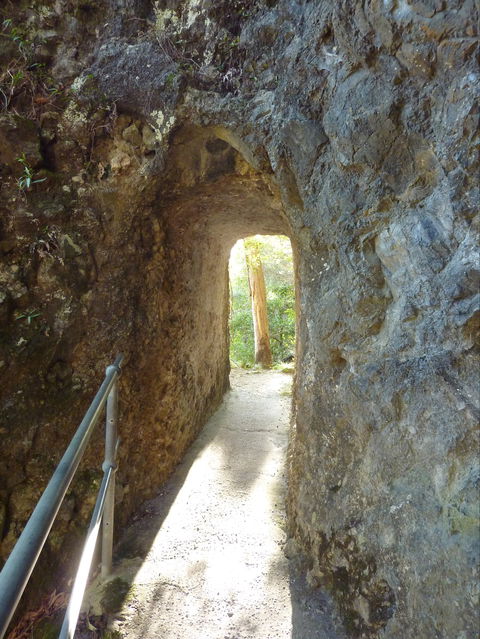 Caves Circuit, Lamington National Park - St Kilda Accommodation 1