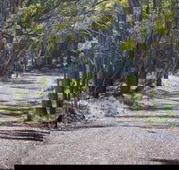 Coolah Tops National Park - St Kilda Accommodation