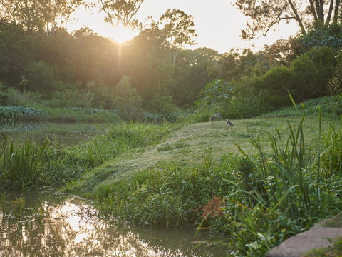 Cribb Park - St Kilda Accommodation 2