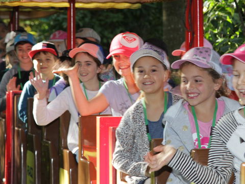 Currumbin Wildlife Sanctuary - St Kilda Accommodation 1