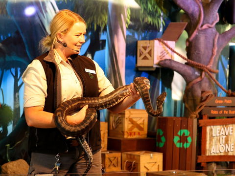 Currumbin Wildlife Sanctuary - St Kilda Accommodation 2