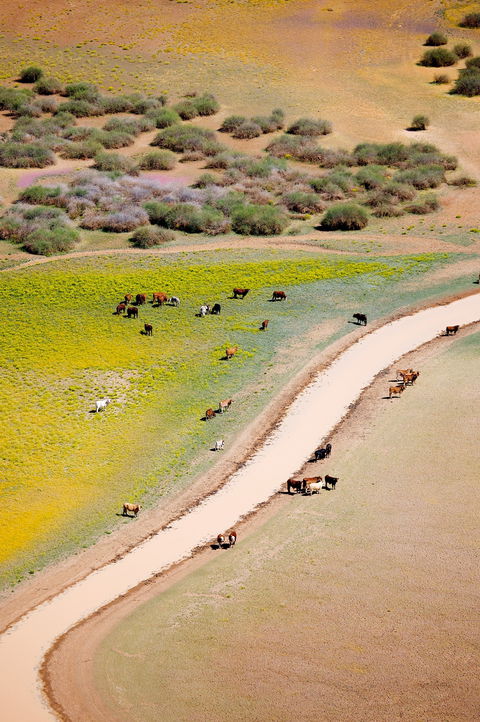 Cuttaburra Crossing - St Kilda Accommodation 1