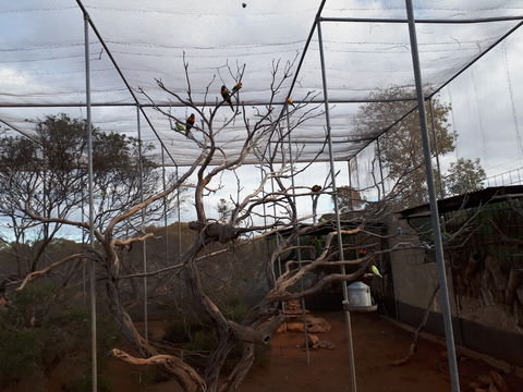 Eyre Reptile & Wildlife Park - St Kilda Accommodation 2