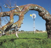 Greenough Leaning Trees - St Kilda Accommodation