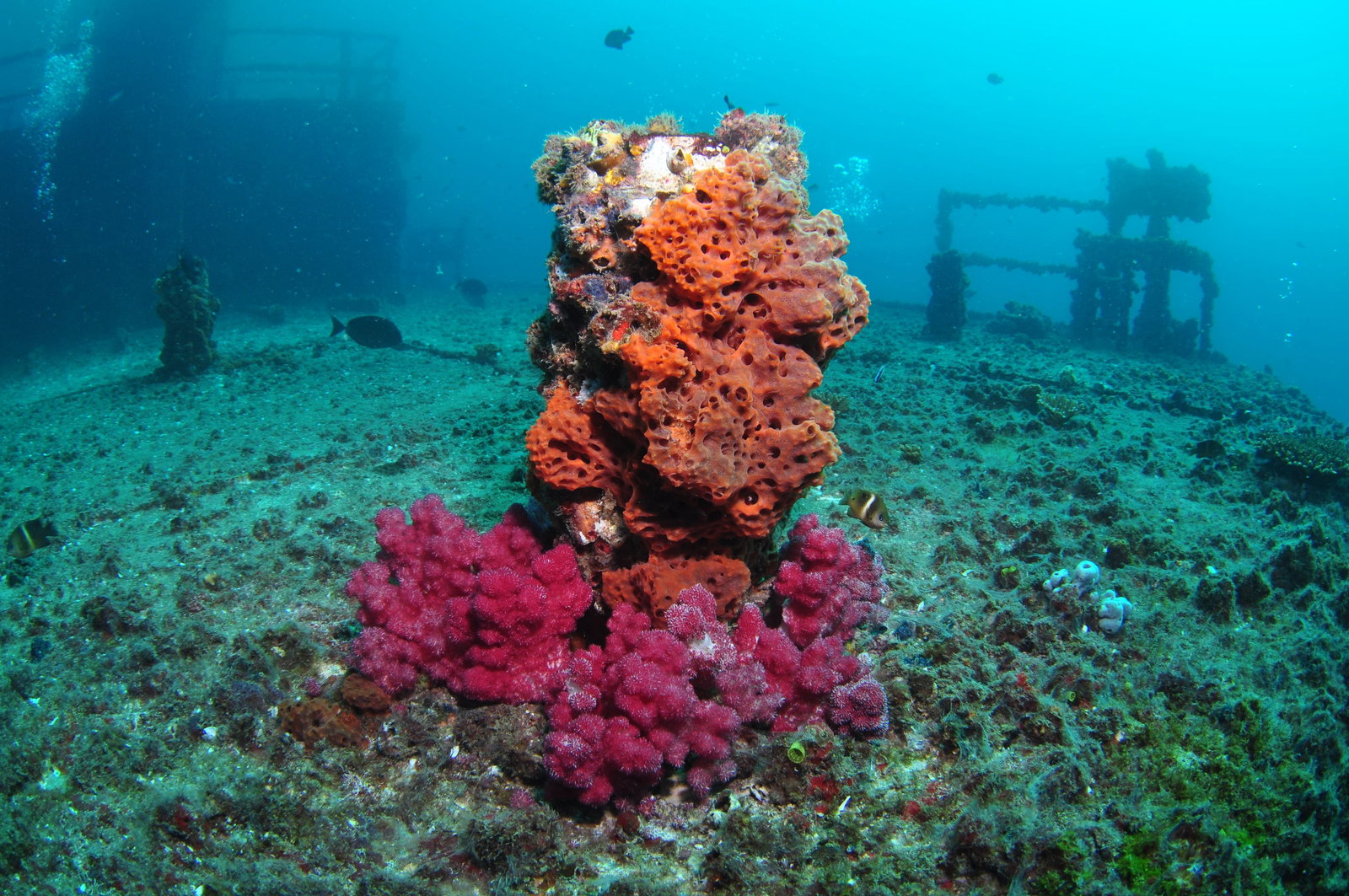 Mooloolaba QLD St Kilda Accommodation