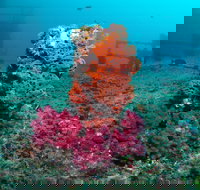 HMAS Brisbane Dive Site - St Kilda Accommodation