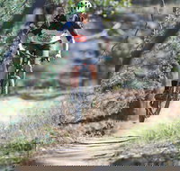 Kidsons Cycles - St Kilda Accommodation