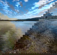 Lake Innes Nature Reserve - St Kilda Accommodation