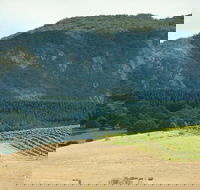 Langi Ghiran State Park - St Kilda Accommodation