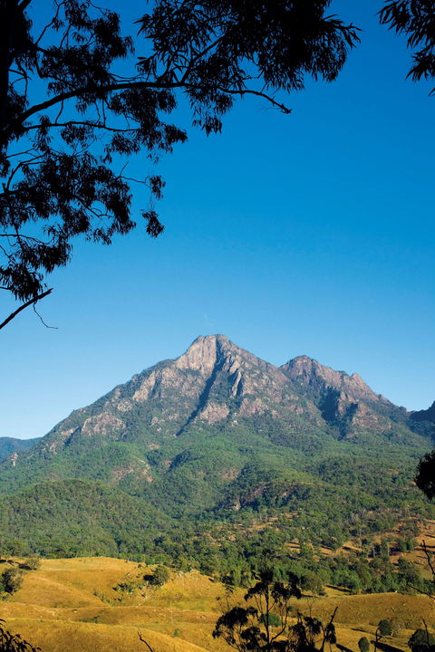 Lower Portals Track, Mount Barney National Park - St Kilda Accommodation 0