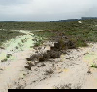 Ngarkat Conservation Park - St Kilda Accommodation