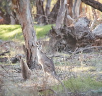 Nyah Vinifera Park - St Kilda Accommodation